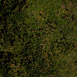 Satellite imagery of Kleiner Rachel, DE