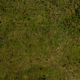 Satellite imagery of Grosser Rachel, DE