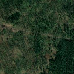 Satellite imagery of (Bor) [Branišov u Dubného], CZ