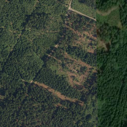 Satellite imagery of Starohuťský vrch, CZ