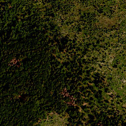 Satellite imagery of Kleiner Rachel, DE