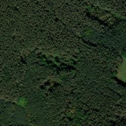 Satellite imagery of Šosy [Libín-Spolí u Ledenic], CZ