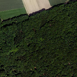 Satellite imagery of Patrichberg, DE