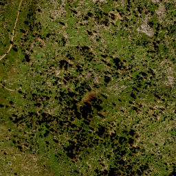 Satellite imagery of Grosser Rachel, DE