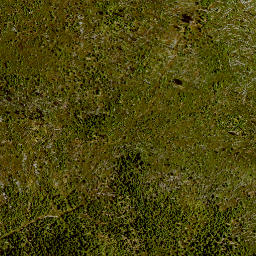 Satellite imagery of survey_point, AT