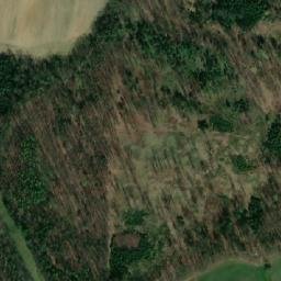 Satellite imagery of (Bor) [Branišov u Dubného], CZ