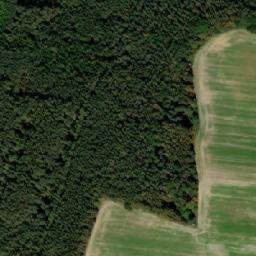 Satellite imagery of [Domanín u Třeboně] HG, CZ