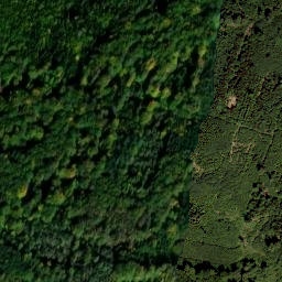 Satellite imagery of Viersteinberg, DE