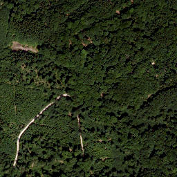 Satellite imagery of Viersteinberg, DE