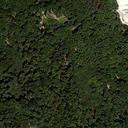 Satellite imagery of Patrichberg, DE