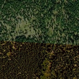 Satellite imagery of 2/9, DE