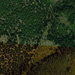 Satellite imagery of 2/9, DE