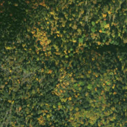 Satellite imagery of sedlo Predky, SK