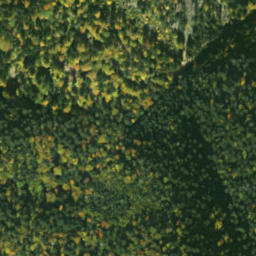 Satellite imagery of sedlo Predky, SK