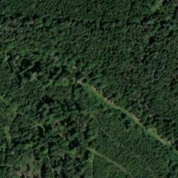 Satellite imagery of Schönhart, DE