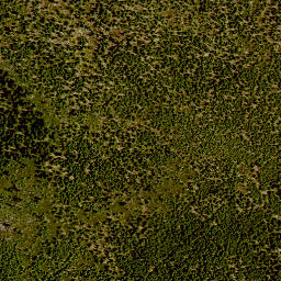 Satellite imagery of 3/6, DE