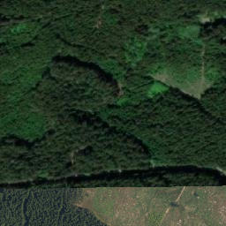 Satellite imagery of Kamenný stůl, CZ