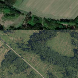 Satellite imagery of (Krokovický les [Písečné]), AT