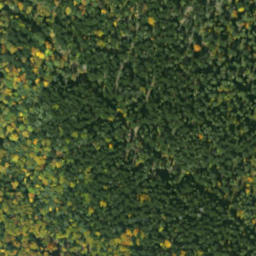 Satellite imagery of sedlo Predky, SK