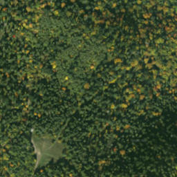 Satellite imagery of sedlo Predky, SK