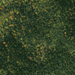 Satellite imagery of sedlo Predky, SK