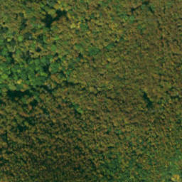 Satellite imagery of Zbojnícke skaly, SK