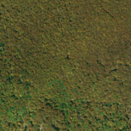 Satellite imagery of survey_point, SK