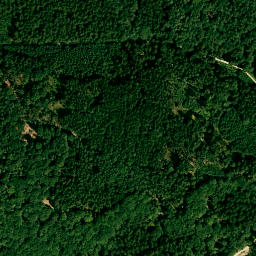 Satellite imagery of Palmberg, DE