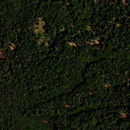 Satellite imagery of TP, AT