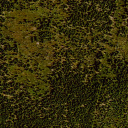 Satellite imagery of 2/9, DE