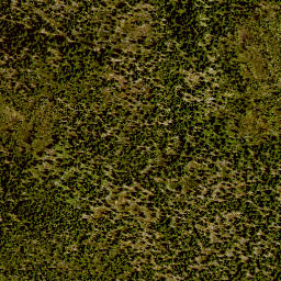 Satellite imagery of 2/9, DE