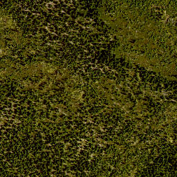 Satellite imagery of 3/6, DE