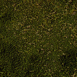 Satellite imagery of 5/5, DE