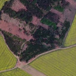 Satellite imagery of k.503 [Dešná], CZ