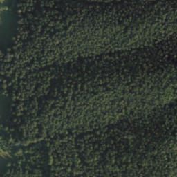 Satellite imagery of kôl 65, SK