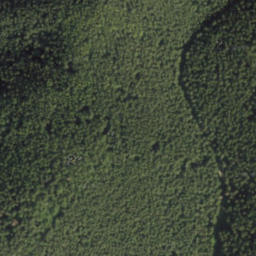 Satellite imagery of kôl 65, SK