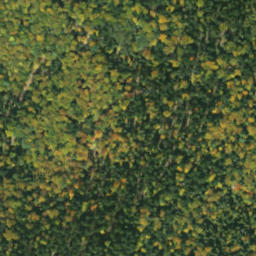 Satellite imagery of sedlo Predky, SK