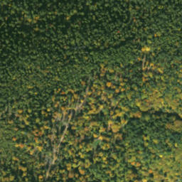Satellite imagery of sedlo Predky, SK