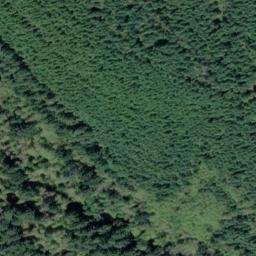 Satellite imagery of Bodega Hill, CA