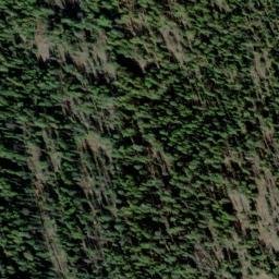 Satellite imagery of Huckleberry Ridge, US