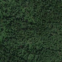 Satellite imagery of Jackson Mine, US