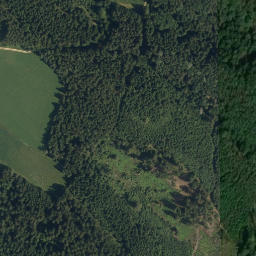 Satellite imagery of Romavský les, CZ