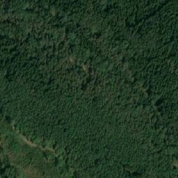 Satellite imagery of Romavský les, CZ