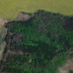 Satellite imagery of k.503 [Dešná], CZ