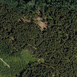 Satellite imagery of Rosenberg, DE