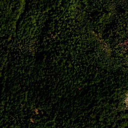 Satellite imagery of TP, AT