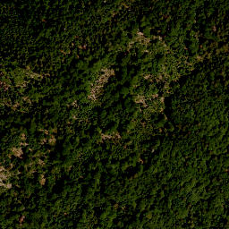 Satellite imagery of TP, AT