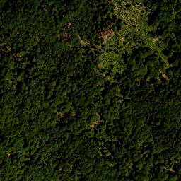 Satellite imagery of TP, AT