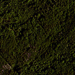 Satellite imagery of TP, AT