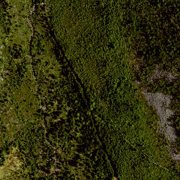 Satellite imagery of Farrenberg, DE